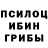 Галлюциногенные грибы мицелий LOL ART