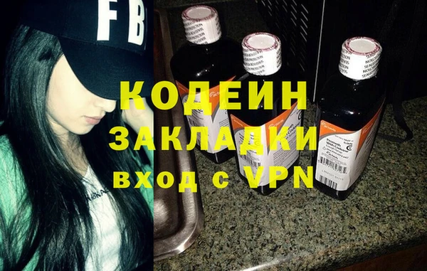 ПСИЛОЦИБИНОВЫЕ ГРИБЫ Арсеньев