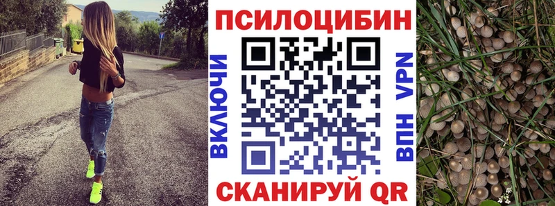 Псилоцибиновые грибы Psilocybine cubensis купить сайты Бологое